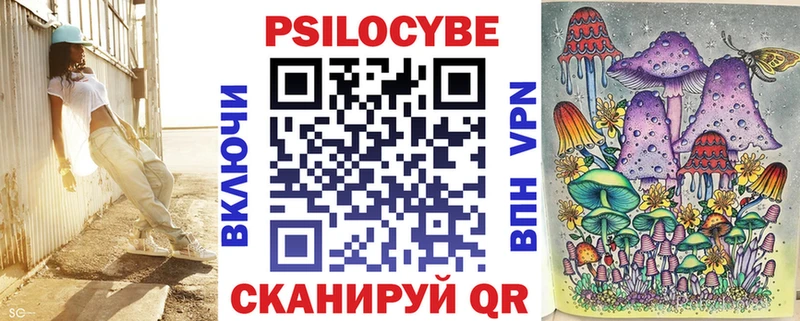 Купить  Углегорск  Галлюциногенные грибы Psilocybine cubensis